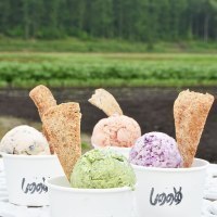 古農家ゴローソ