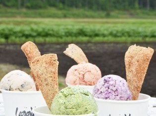 古農家ゴローソ