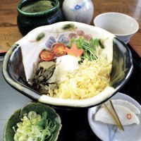 ライナーネットワーク