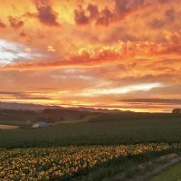 丘のまちびえい活性化協会