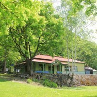 こたんまつり実行委員会