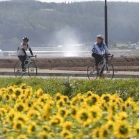 なかふらの観光協会