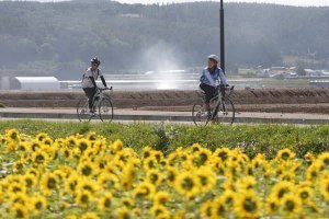 なかふらの観光協会