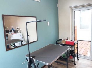 Dog Salon room micc