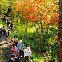 滝上町観光協会