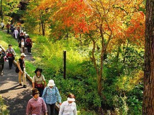 滝上町観光協会