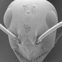 旭川市科学館　サイパル