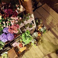 picnic（ピクニック）