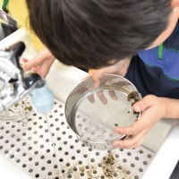 ライナーネットワーク