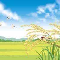 北海道米販売拡大委員会