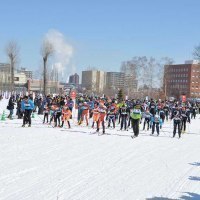 バーサーロペット・ジャパン事務局