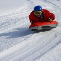 ビバアルパカ牧場