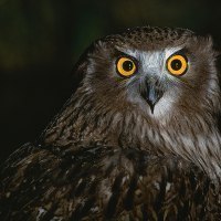 大雪山ライブラリー