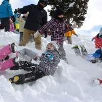 当麻町観光協会