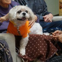 北海道ボランティアドッグの会　旭川