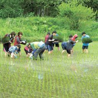 旭川市農政部農政課