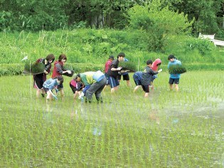 旭川市農政部農政課