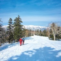 （株）りんゆう観光