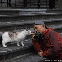 東川町文化ギャラリー