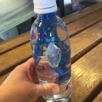 旭川大学短期大学部　椎名ゼミナール