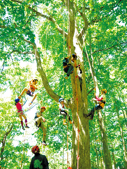 キトウシで木育イベント キトウシ森林公園 旭川 道北のニュース ライナーウェブ
