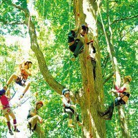 キトウシ森林公園