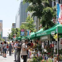 たいせつマルシェ協議会