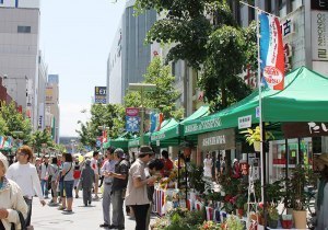 たいせつマルシェ協議会