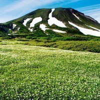 ヤマチューン大雪山店
