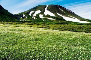 ヤマチューン大雪山店