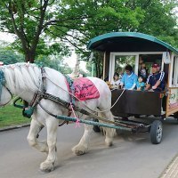 ばんえい競馬／レラ・スポット北彩都