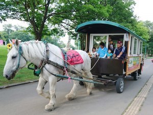 ばんえい競馬/レラ・スポット北彩都