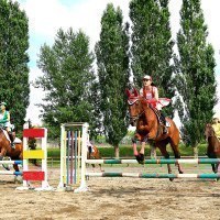 旭川公園緑地協会