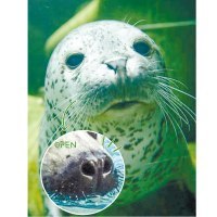 旭川市旭山動物園協力