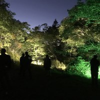 層雲峡観光協会