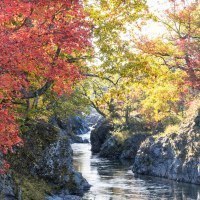 滝上町観光協会／西興部村