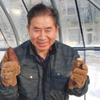 つぼ焼きいも「はやし」