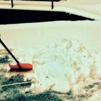 ライナーネットワーク