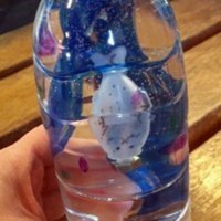 旭川大学短期大学部幼児教育学科　椎名ゼミナール