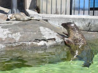 旭川市旭山動物園／旭山公園