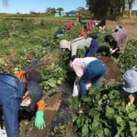 農協観光旭川支店