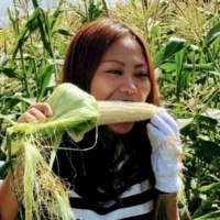 丘のまちびえいDMO