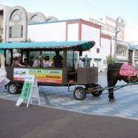 ばんえい競馬／レラ・スポット北彩都