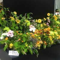 北海道花き振興協議会