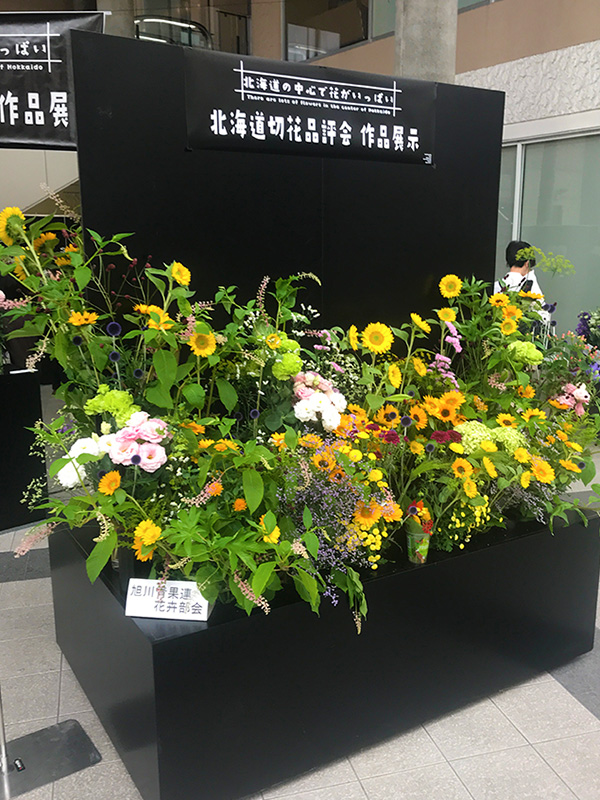 色鮮やかな北国の夏の花々 アッシュで130点を展示 北海道花き振興協議会 旭川 道北のニュース ライナーウェブ