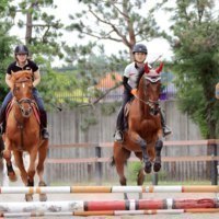旭川乗馬倶楽部