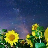 名寄市観光交流振興協議会