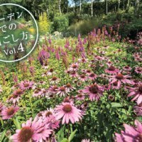 大雪 森のガーデン