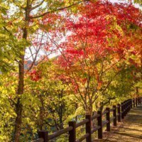 滝上町観光協会