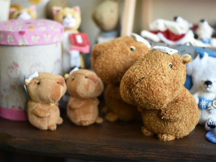 ギャラリーJin「クマのぬいぐるみ展」